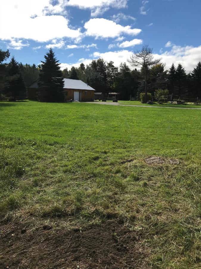 Dreamers Writing Farm, 3 Wooded Acres, Hepworth Sauble Beach Bagian luar foto