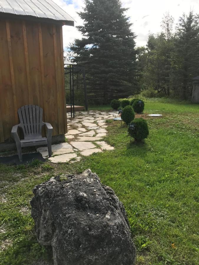 Dreamers Writing Farm, 3 Wooded Acres, Hepworth Sauble Beach Bagian luar foto