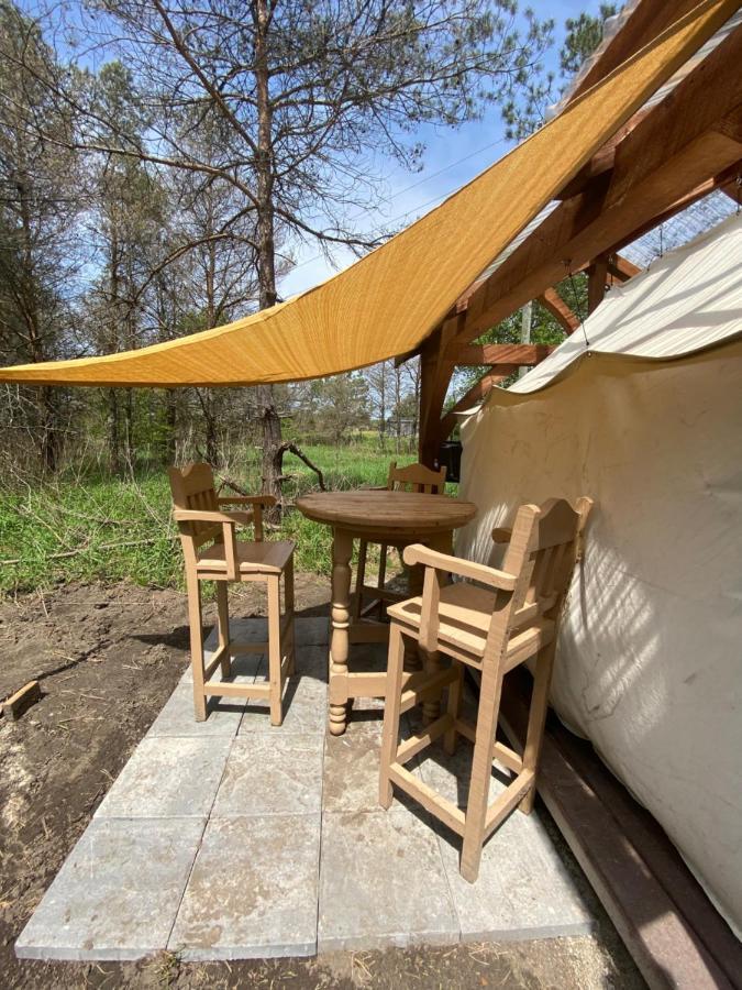 Dreamers Writing Farm, 3 Wooded Acres, Hepworth Sauble Beach Bagian luar foto