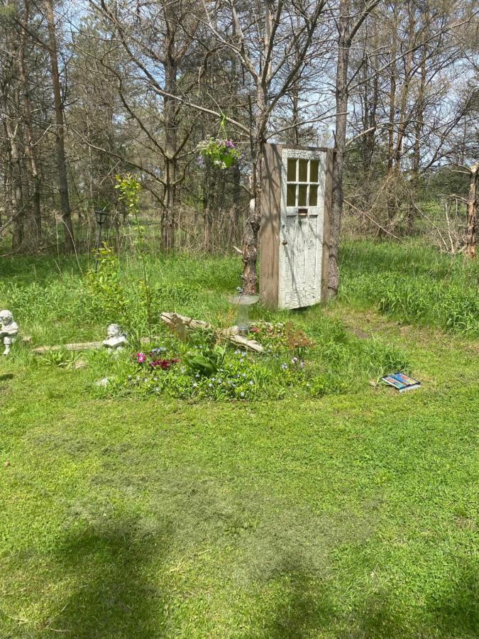 Dreamers Writing Farm, 3 Wooded Acres, Hepworth Sauble Beach Bagian luar foto