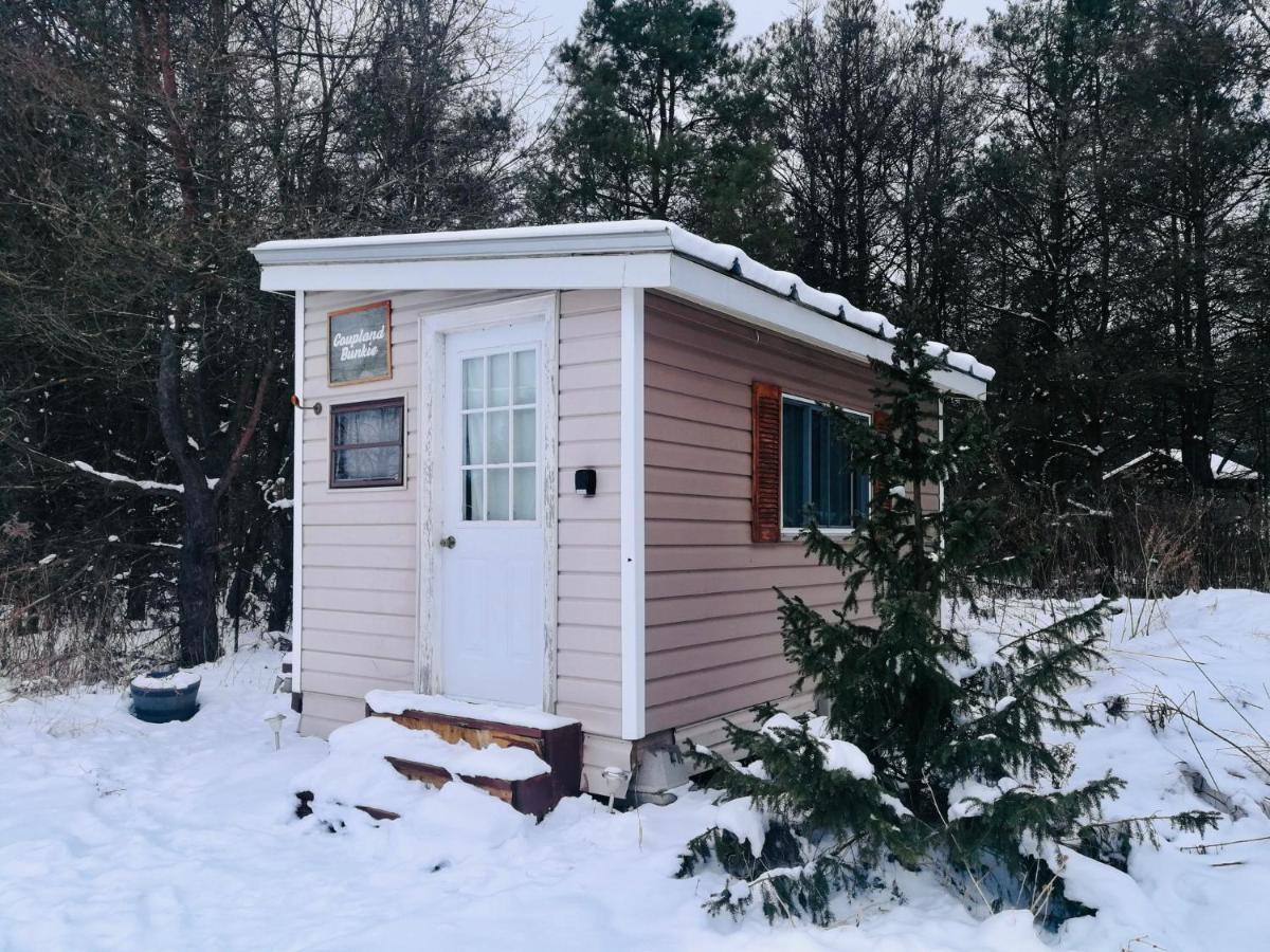 Dreamers Writing Farm, 3 Wooded Acres, Hepworth Sauble Beach Bagian luar foto