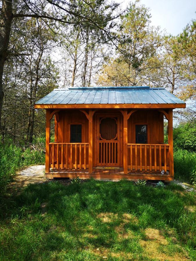 Dreamers Writing Farm, 3 Wooded Acres, Hepworth Sauble Beach Bagian luar foto