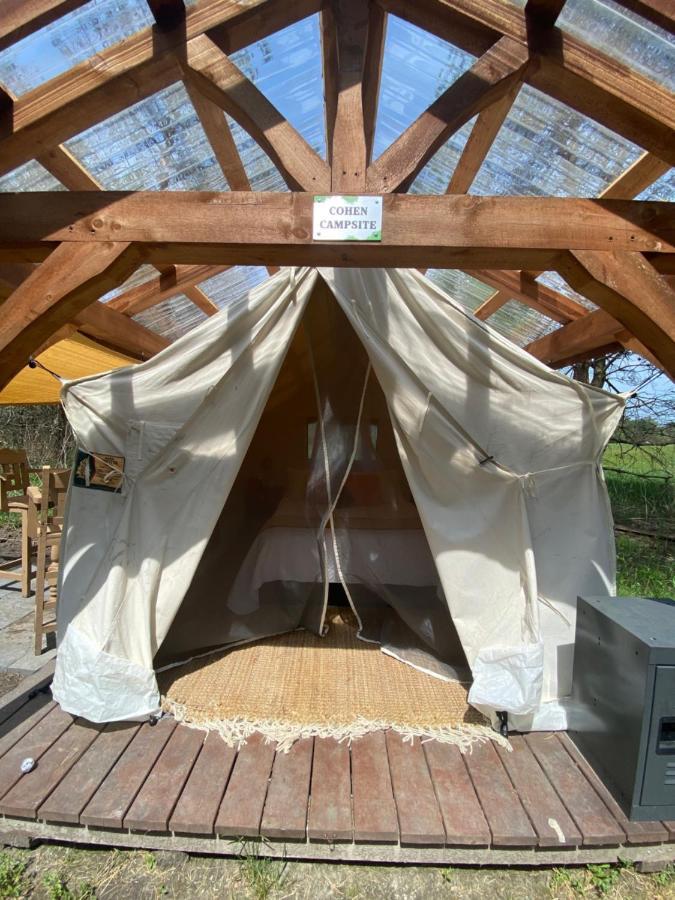 Dreamers Writing Farm, 3 Wooded Acres, Hepworth Sauble Beach Bagian luar foto