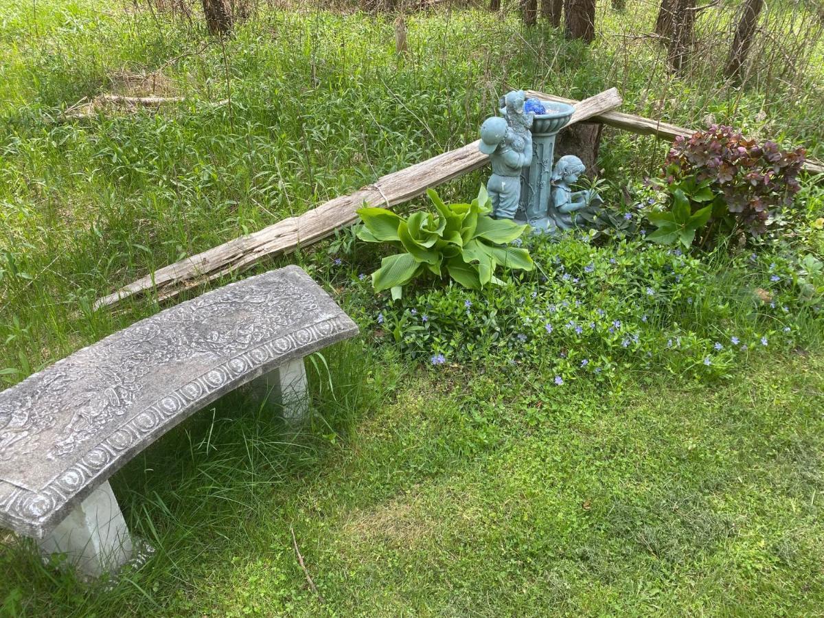 Dreamers Writing Farm, 3 Wooded Acres, Hepworth Sauble Beach Bagian luar foto