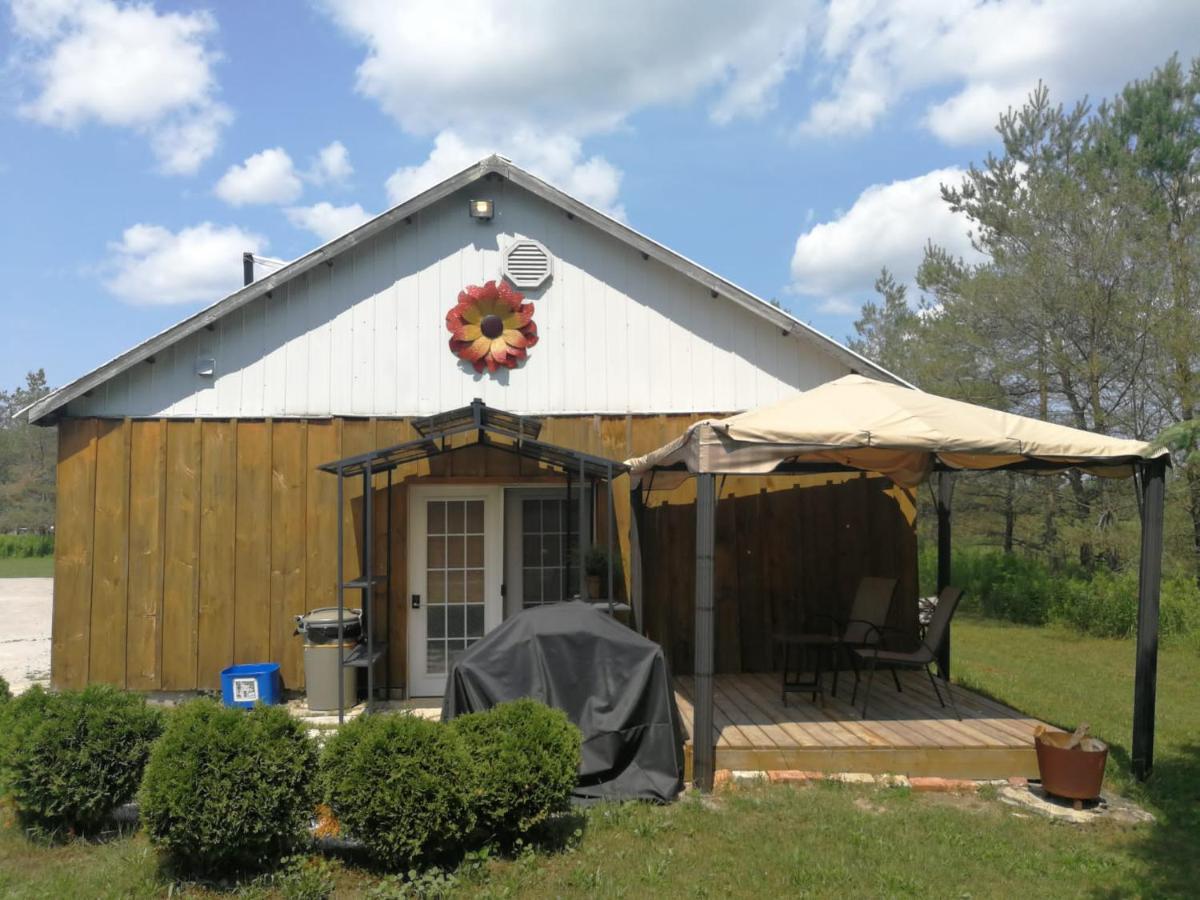 Dreamers Writing Farm, 3 Wooded Acres, Hepworth Sauble Beach Bagian luar foto