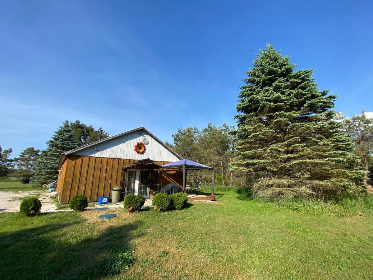 Dreamers Writing Farm, 3 Wooded Acres, Hepworth Sauble Beach Bagian luar foto