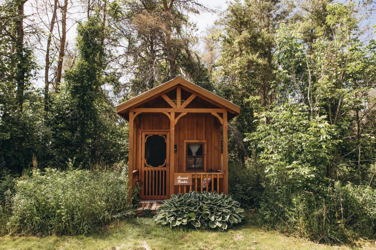 Dreamers Writing Farm, 3 Wooded Acres, Hepworth Sauble Beach Bagian luar foto
